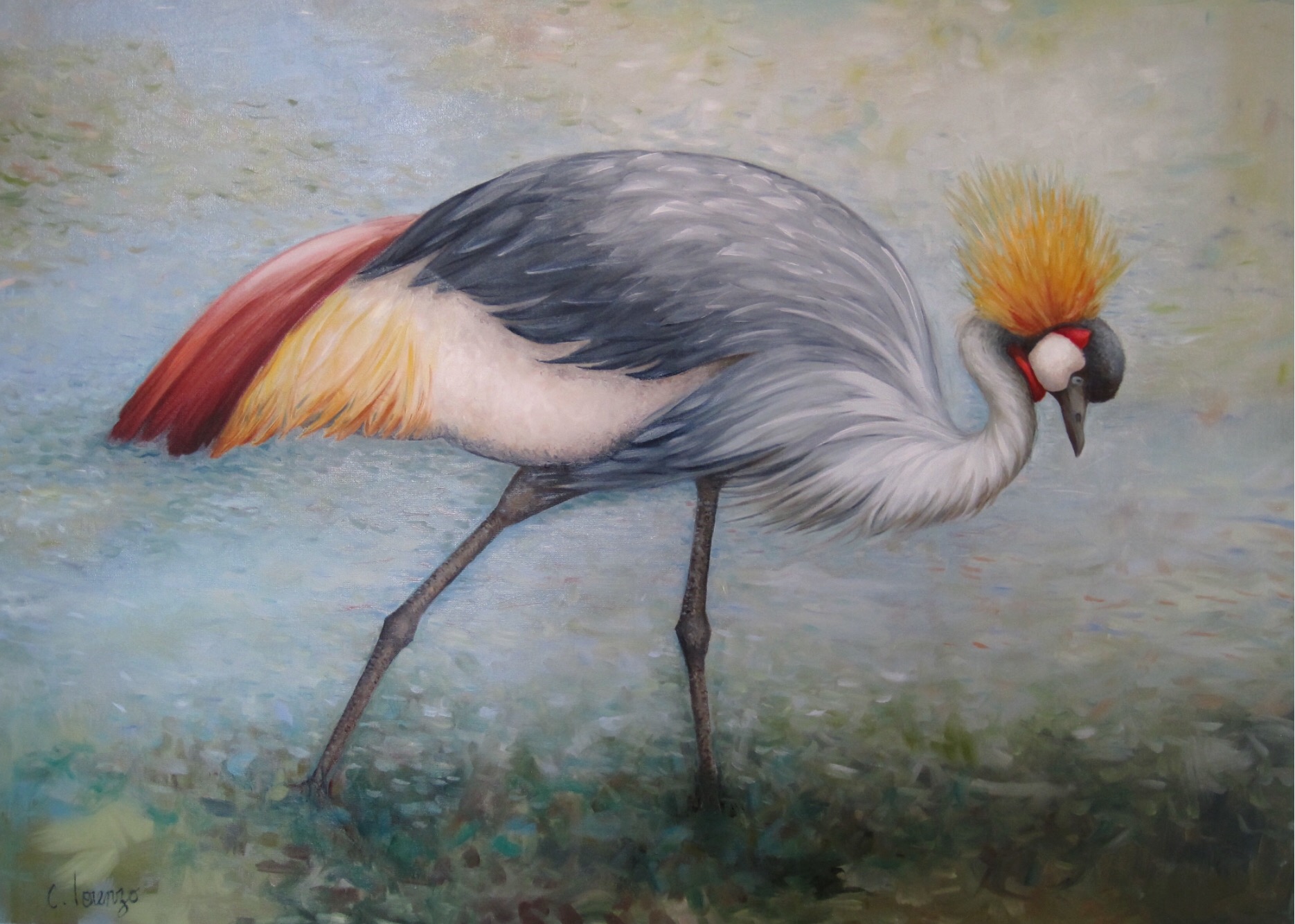 Grue Couronnée
